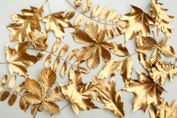 istock Golden leaves scattered on a light gray background 1253458741