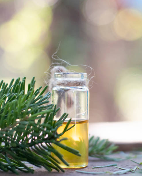 istock Essential oil with spruce branch 1253460577