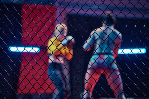 istock Female MMA fighters throw punches in octagon 1253460764