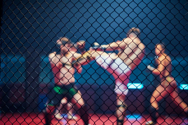 istock MMA fighters training in octagon. Two fights 1253461563