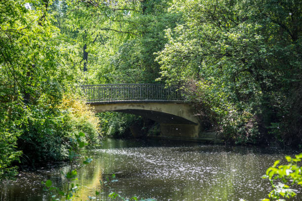 istock A bridge in a green park with trees and a river 1253462330