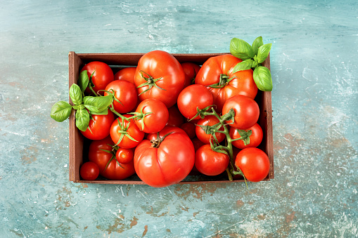 Close up of wooden container with fresh and ripe harvested tomatoes on light blue background