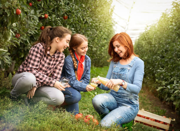 heathy juice for my children - heathy food imagens e fotografias de stock