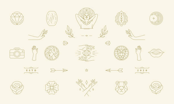 Vector line women decoration design elements set - women face and gesture hands illustrations simple linear style Vector line women decoration design elements set - women face and gesture hands illustrations simple minimal linear style. Bundle mystical outline graphics for logo emblems and product packaging simple cat line art stock illustrations