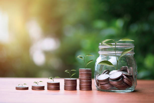 istock Increase trend graph of coins stacking with tree growth on greenery background. Dividend and profit from saving and investment concept. 1253467627