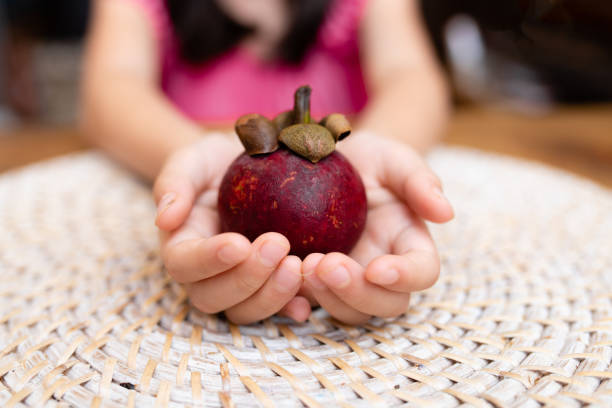 Mangosteen on the hand of a child