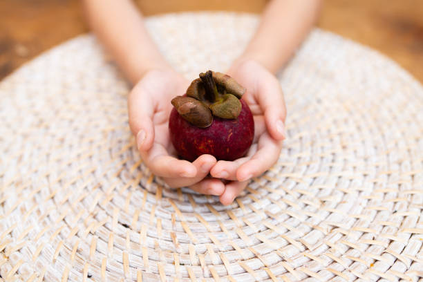 Mangosteen on the hand of a child