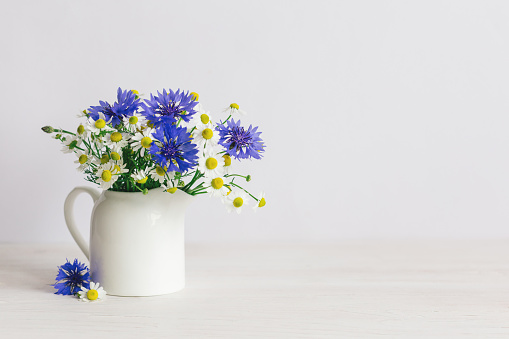 Romantic bouquet of the meadow flowers in a jar on a white background.  Chamomiles and Cornflower in a jar. Place for text.