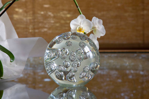 istock Still life a flower and paperweight. 1253470975