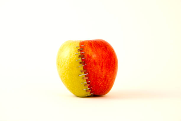 two apples (granny smith and braeburn), red and green stapled together with zinc and copper staples - apple fruit surreal bizarre imagens e fotografias de stock