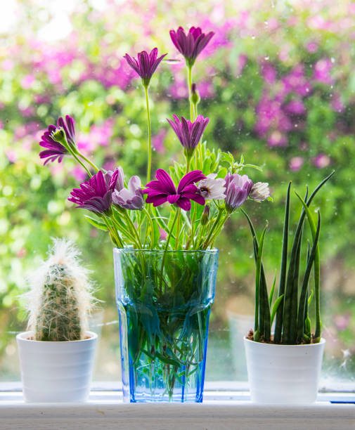 istock Beautiful flowers in a vase 1253472730