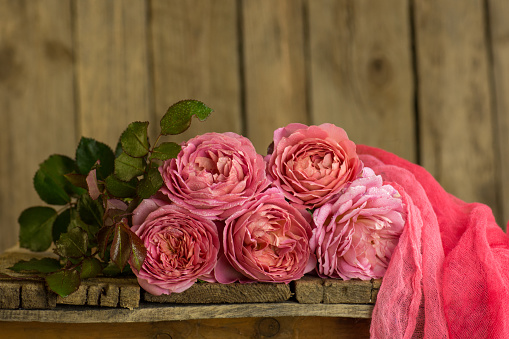 Magnific pink roses on wooden table. Colorful flowers on a table.