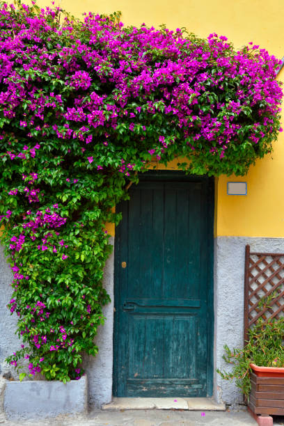 istock imperia porto maurizio italy 1253475645
