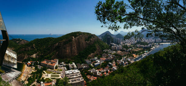 rio de janeiro, brasile - urca rio de janeiro rainforest brazil foto e immagini stock