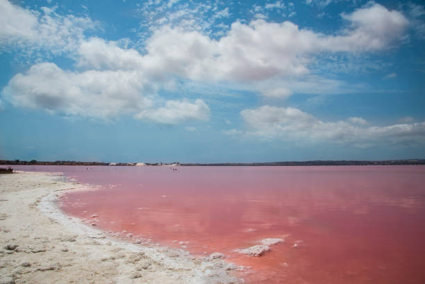 istock Pink salty lake 1253476259