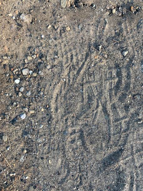 istock Footprints in Cinder Gravel 1253477849