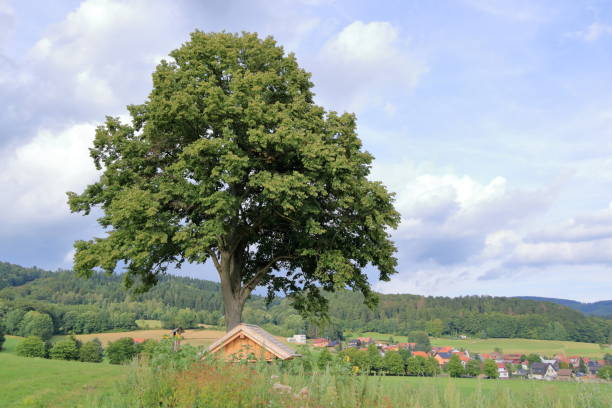 Sonne am Land