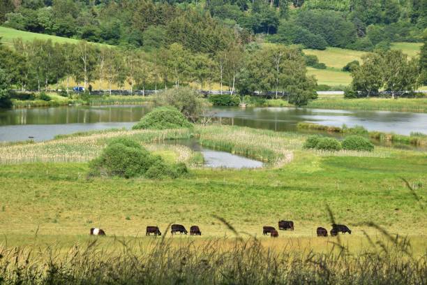 istock Volcanic landscape with maar lakes in Eifel mountains, Germany 1253482257