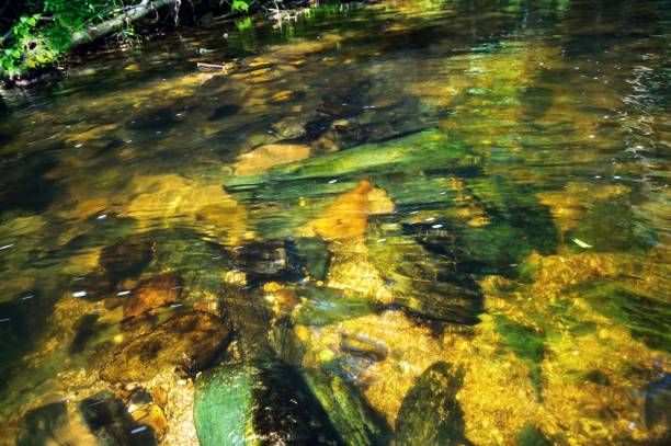 istock Transparent water above river bottom with stones. 1253483318