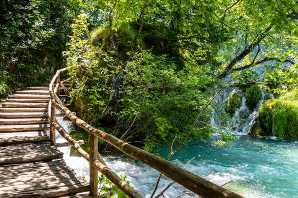 istock Beautiful waterfall in green forest 1253484197
