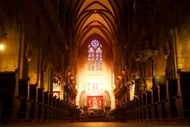 la nave de la catedral de san juan bautista en breslavia, polonia - iluminación de techo abovedado fotografías e imágenes de stock