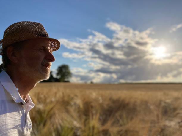 istock Watching a field of Barley 1253486330