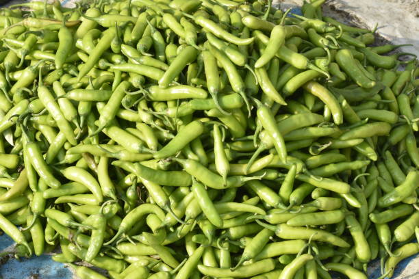 istock Vegetables for sale at India. 1253488393