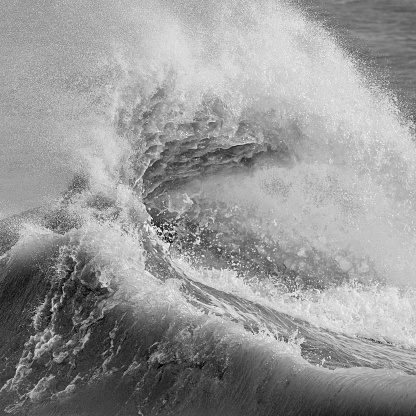 Stunning image of individual wave breaking and cresting during violent windy storm in black and white with superb detail
