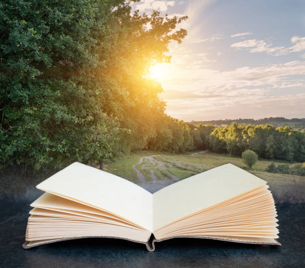 istock Digital composite concept image of open book wth Summer sunset sunshine through trees in Ashdown Forest English countryside landscape 1253488689