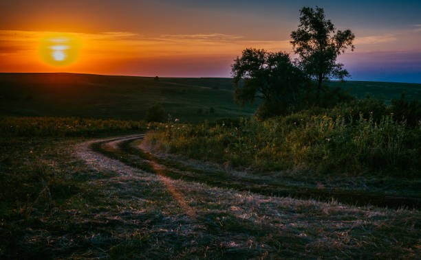 istock Beautiful sunset in the summer 1253488853