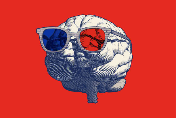 Retro drawing of brain with 3D glasses illustration isolated on red BG Monochrome blue retro engraving human brain with stereoscopic 3d eyeglasses vector illustration in front view isolated on red background red spectacles stock illustrations