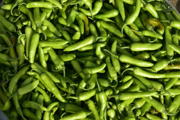 istock Vegetables for sale at India. 1253489775