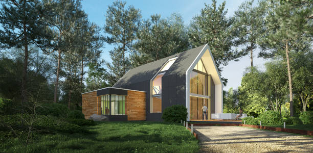 istock Modern pitched roof house in nature 1253489808