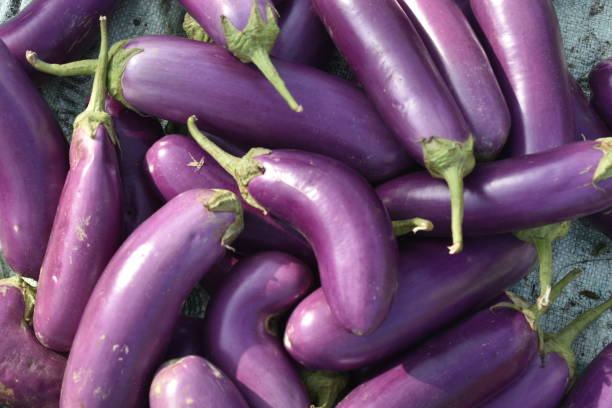 istock Vegetables for sale at India. 1253489897