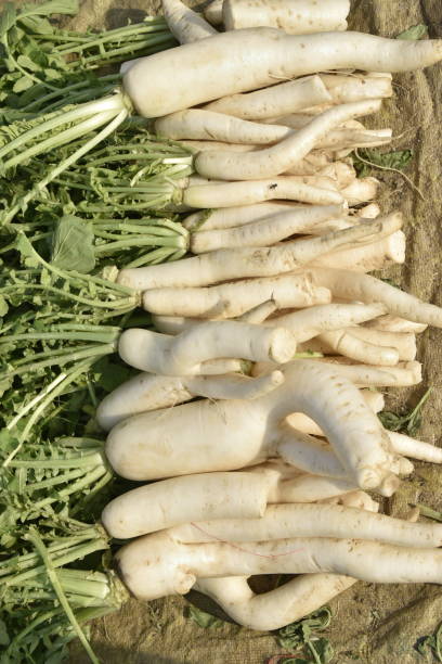 istock Vegetables for sale at India. 1253490740