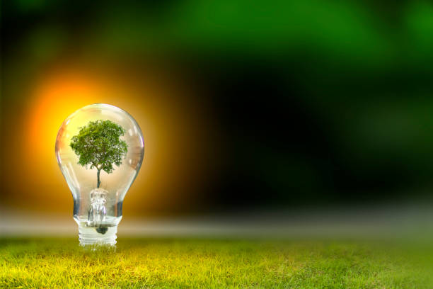 istock Renewable energy concept Earth Day or environment protection Hands protect forests that grow on the ground and help save the world. 1253491728