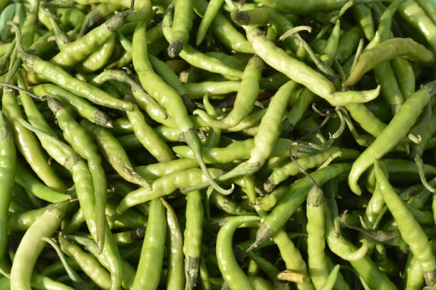 istock Vegetables for sale at India. 1253492013