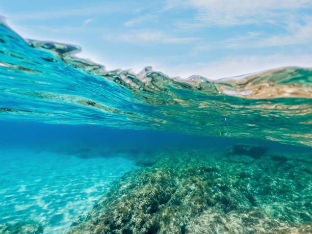 istock Blue sky over Sardinia blue sea 1253493216