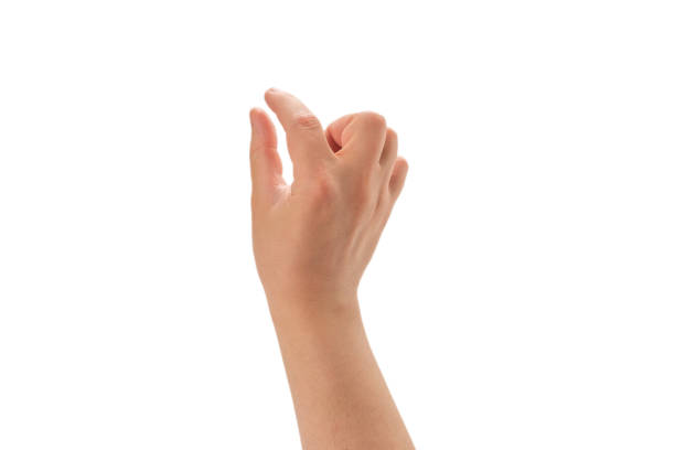 istock Male hand isolated on white. 1253494005