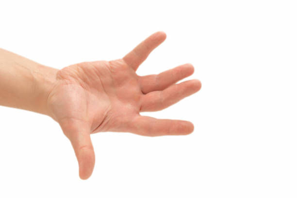 istock Male hand isolated on white. 1253494014