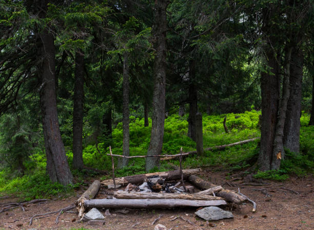 istock Campfire in the wood 1253495359