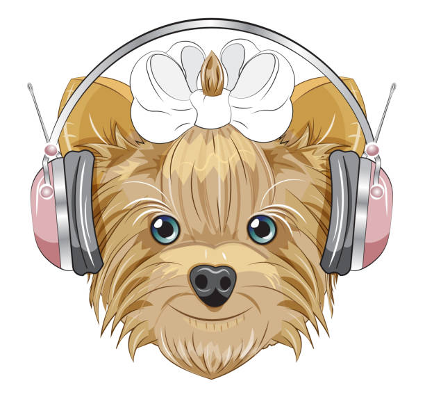 ilustraciones, imágenes clip art, dibujos animados e iconos de stock de yorkshire terrier en auriculares - pampered pets audio
