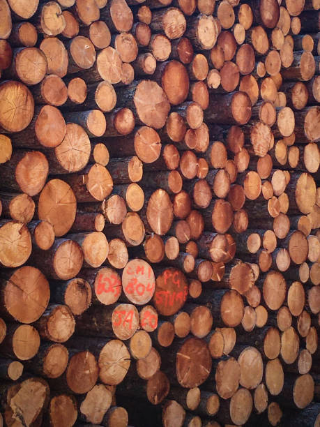 Useful for backgrounds.