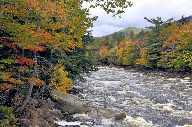 rivière pemigewasset (new hampshire) - rapid appalachian mountains autumn water photos et images de collection