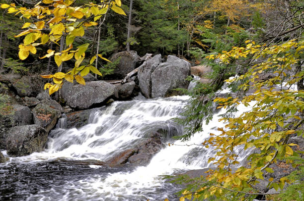 istock Georgiana Falls, White Mountains 1253499931
