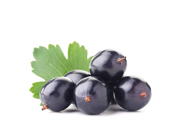 istock Black currants with a green leaf on a white background. Isolated 1253504417