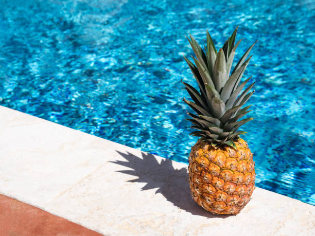 piña cerca de la piscina junto a la piscina - tourist resort apartment swimming pool caribbean fotografías e imágenes de stock