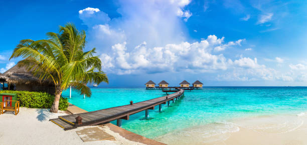 Water Villas (Bungalows) in the Maldives Panorama of Water Villas (Bungalows) and wooden bridge at Tropical beach in the Maldives at summer day bungalow photos stock pictures, royalty-free photos & images