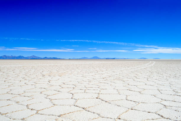 istock Salar de Uyuni Salt Flat in Bolivia 1253506244
