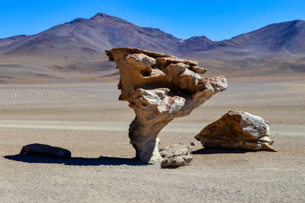 istock Salar de Uyuni Salt Flat in Bolivia 1253506729